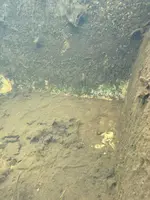 WhatsApp Image 2025-03-11 at 15.19.23.webp