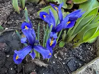 IMG_6298.webp