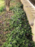 IMG_20250311_115840.webp