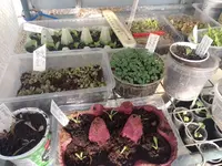 IMG_20250309_152729.webp