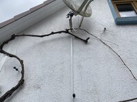 75943531-7E1E-4C5D-A0B4-AAD4945784B5.jpeg
