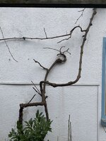 2C87247C-6586-497F-AB4B-F326BBFACA4E.jpeg