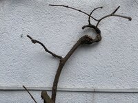 0271CAAE-177F-4191-B8F0-734348271D7F.jpeg