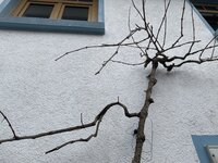 A91E16F1-B401-4B57-A5CE-7516037CD81F.jpeg