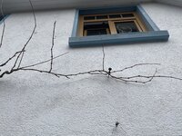 62CA4096-87B6-465E-8227-A39763FC4168.jpeg