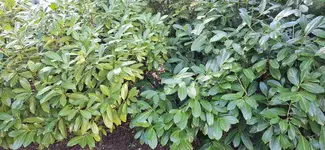 20250312_092710.webp