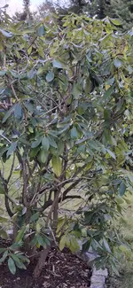 20250312_092812.webp