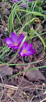 20250313_111059.jpg