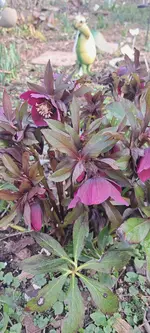 20250313_111357.webp