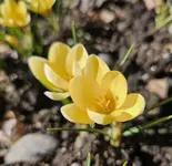 20250314_072517.webp