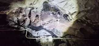 20250310_191138.jpg