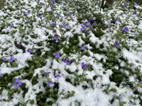 IMG_2020.webp