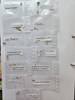 20250315_161230.jpg