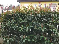 IMG_20250316_102544.webp