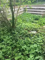 04.webp
