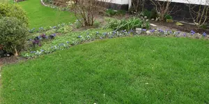 Beet öE 20220224.webp