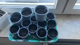 Garten März1.webp