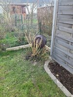 Garten März5.jpg