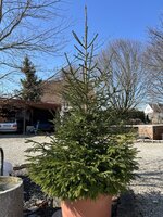 IMG_4950.jpeg