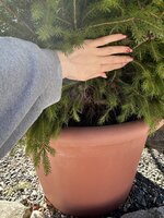 IMG_4952.jpeg
