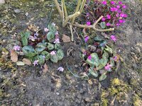 IMG_5873.jpeg