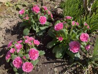 IMG_5872.jpeg