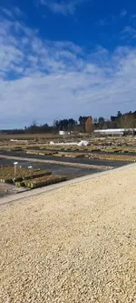 20250320_095303.jpg