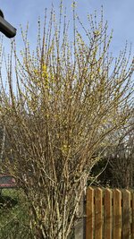 IMG_3814.jpeg