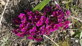 IMG_3813.jpeg