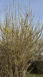 IMG_3815.webp