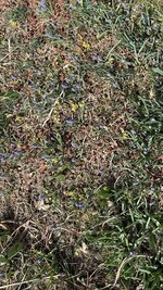 IMG_3812.jpeg