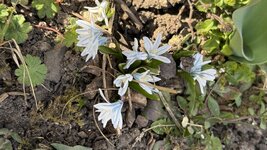 IMG_3825.jpeg