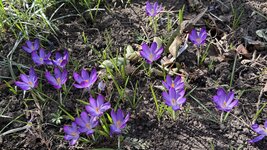 IMG_3824.jpeg