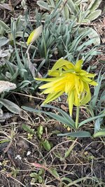 IMG_3821.jpeg
