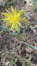 IMG_3820.jpeg