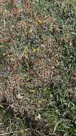 IMG_3812.webp