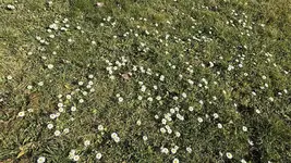 IMG_3817.webp
