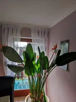 IMG-20250321-WA0004.webp