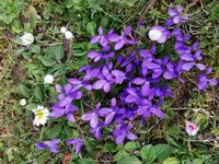 IMG_20250321_171540.webp