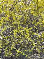 IMG_20250320_164540.webp
