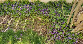IMG_20250322_102914.webp