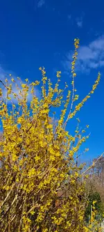 20250322_161501.webp