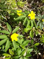 20250322_131927.webp