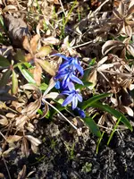 20250320_160459.webp