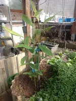 IMG_20250322_142724.webp