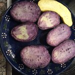 IMG_3586.jpeg