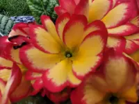 20250323_083011.webp