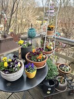 IMG_4011.jpeg