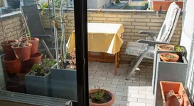 gesamt.webp