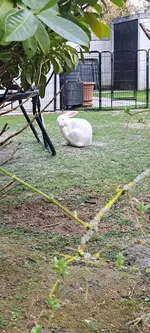 20250323_153256.webp